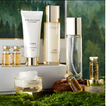 Skincare Gift Set Manufacturer - Korean Anti-Wrinkle 9-Piece Black Truffle Lightening Serum Salicylic Acid Eye Cream Hyaluronic Acid