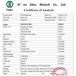 Green Tea Extract Powder - 98% Food Grade Wholesale Price For Sale