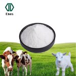 Clostridium Butyricum Powder - 10 Billion Cfu/G Probiotic For Aquaculture