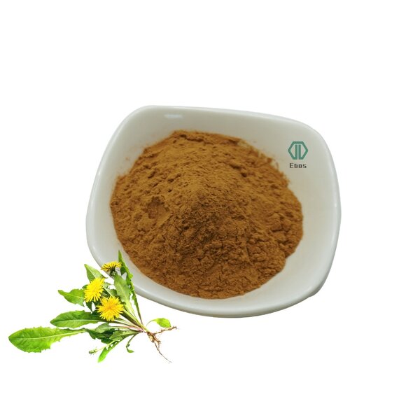 Dandelion Extract Powder - Water Soluble 5% Flavonoids & Organic & Wholesale