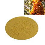 Sea Buckthorn Powder - Freeze Dried Organic Berry & Juice Powder