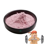 Bovine Lactoferrin Powder - 98% Pet Health Supplement & Wholesale Price