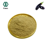 Eggplant Powder - 100% Natural Dried & High Quality For Trade