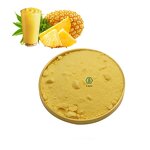 Pineapple Powder - Pomace Juice Instant Natural Flavor Dried For Drink