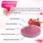 Pomegranate Juice Powder - Organic Bulk Price Water Soluble