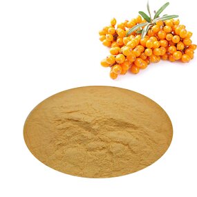Sea Buckthorn Powder - Freeze Dried Organic Berry & Juice Powder