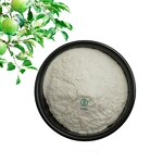 Green Apple Juice Powder - Organic Spray Dried For Boba Tea
