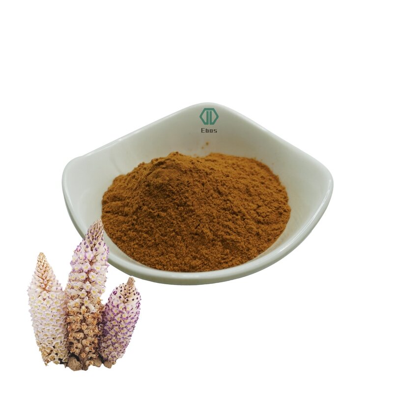 Cistanche Extract Powder - Polyphenol & Herbal Cistanche Tubulosa/Deserticola
