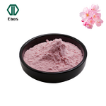 Cherry Blossom Powder - Freeze Dried & Sakura Pink & Beverage & OEM Service