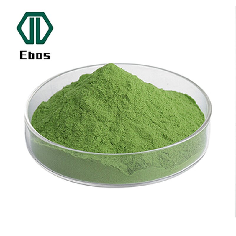 Spinach Extract Powder - 10:1/20:1 Supplement Ingredient Red Spinach Leaf