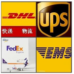 Lactobacillus Reuteri - Freeze-Dried Probiotics Solid Drink Food Grade