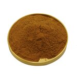 Kombucha Extract Powder - Black Tea Ferment 30%-50% Polysaccharides