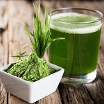 Barley Grass Powder - Organic Extract Juice & Pure