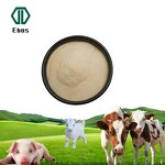 Brewer Yeast Powder - Feed Grade Dried For Animal Feed & Poultry Use