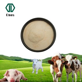 Brewer Yeast Powder - Feed Grade Dried For Animal Feed & Poultry Use