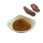 Cistanche Extract Powder - Polyphenol & Herbal Cistanche Tubulosa/Deserticola