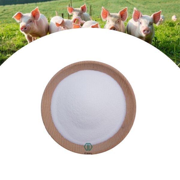 Bacillus Coagulans Powder - Probiotic For Fish Farming & Feed Grade