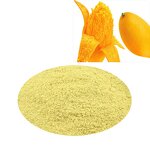 Mango Fruit Powder - Spray-Dried Natural Organic & Flavored