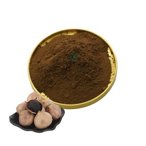 Black Garlic Extract Powder - 10:1 Herbal & Free Sample & Factory Supply