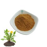 Dandelion Extract Powder - Water Soluble 5% Flavonoids & Organic & Wholesale