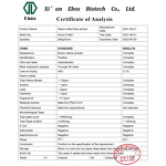 Salvia Extract Powder - Spray Dried Sage/Chia/Salvia & Healthcare