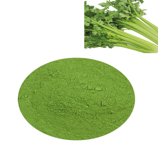 Celery Powder - Natural Pure Dehydrated Stalk & Organic Juice Concentrate