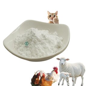 Phytase Enzymes - Feed Grade For Poultry Feed & Bulk Price