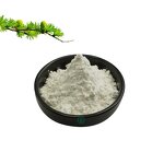 Taxifolin Powder - Larch Extract Dihydroquercetin & Bulk Price