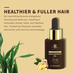 Hair Growth Serum Manufacturer - Custom Logo Biotin Scalp Care Anti-Hair Loss Ginseng Regrowth Treatment Oil