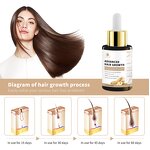 Hair Treatment Oil Manufacturer - Organic Scalp Care Ginseng Ginger Repair Regrowth Anti-Hair Loss Serum
