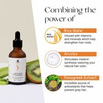 Herbal Hair Serum Manufacturer - Private Label Regrowth Oil Rice Water Treatment Scalp Herbal Growth Formula