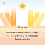 Vitamin C Face Cream Manufacturer - Hot Selling Hyaluronic Acid Anti-Aging Whitening Moisturizing Formula