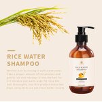 Hair Growth Shampoo Manufacturer - Natural Thickening Volumizing Biotin Rice Water Shampoo for Men Women