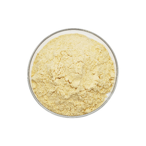 Orange Fruit Powder Manufacturer - Natural Fresh Water Soluble Freeze Dried Juice