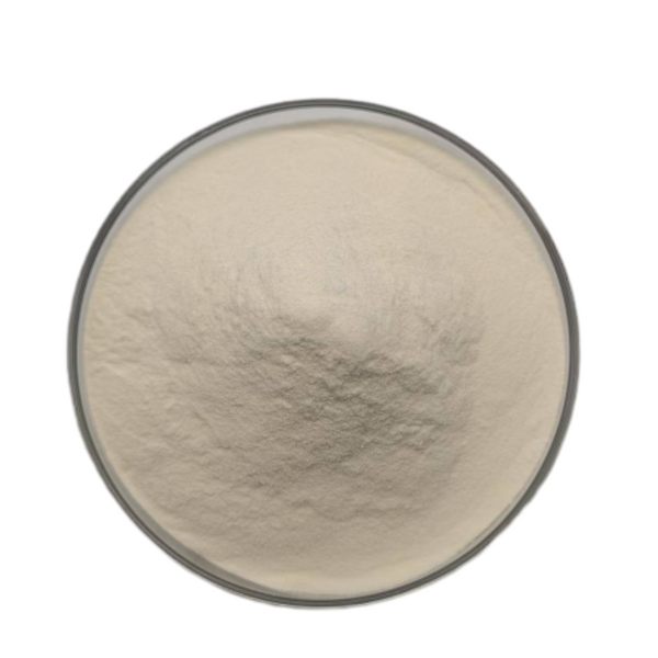Oyster Protein Peptide Powder Manufacturer - Huawave Supply Natural Oyster Powder