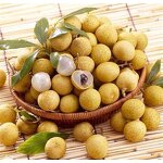Longan Extract Powder Manufacturer - Pure Nature Longan Fruit Juice Powder
