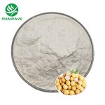 Longan Extract Powder Manufacturer - Pure Nature Longan Fruit Juice Powder