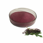 Elderberry Extract Powder Manufacturer - High Quality Natural 25% Anthocyanin