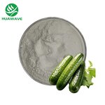 Cucumber Powder Manufacturer - Natural Freeze-dried Vegetable Cucumber Juice Powder