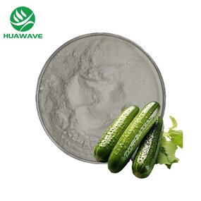 Cucumber Powder Manufacturer - Natural Freeze-dried Vegetable Cucumber Juice Powder