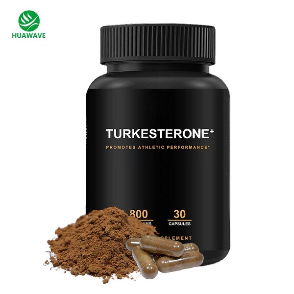 Ajuga Turkestanica Extract Manufacturer - OEM Natural 40% Turkesterone Capsule