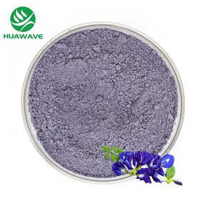 Butterfly Pea Flower Powder Manufacturer - Bulk Sale Food Grade Blue Matcha 450 Mesh