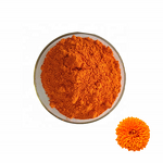 Marigold Flower Extract Manufacturer - Factory Price Natural Organic 5% 10% 20% Lutein Powder