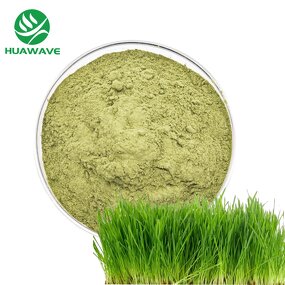 Barley Grass Powder Manufacturer - OEM Private Label 200 Mesh Organic Barley Grass Juice