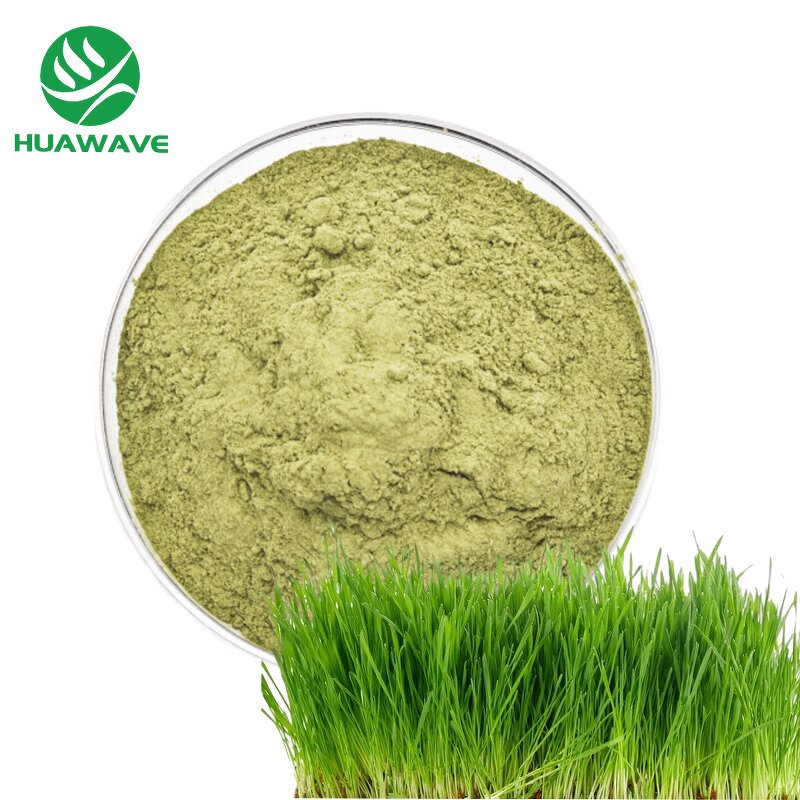 Barley Grass Powder Manufacturer - OEM Private Label 200 Mesh Organic Barley Grass Juice