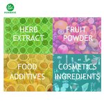 Beta-carotene Powder Manufacturer - Hot Sale Food Grade 98% Natural Pure Beta Carotene