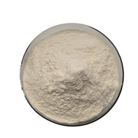 Grapefruit Extract Powder Manufacturer - Factory Supply Organic Grapefruit Juice