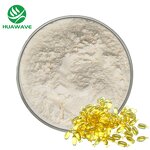 Omega-3 Fish Oil Powder Manufacturer - Bulk Food Grade Microencapsulated 10% Dha Epa
