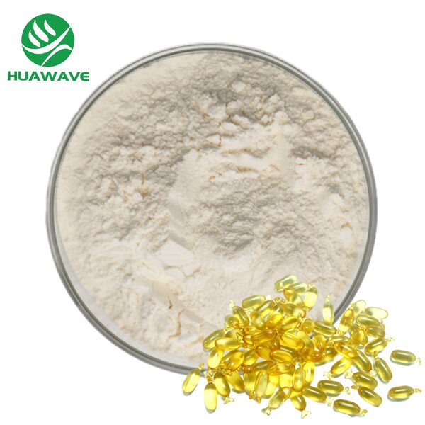 Omega-3 Fish Oil Powder Manufacturer - Bulk Food Grade Microencapsulated 10% Dha Epa
