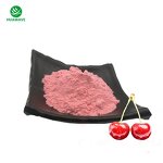 Acerola Extract Manufacturer - Natural Acerola Cherry Powder 98% Freeze-dried Cherry Juice